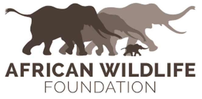 African Wildlife Foundation